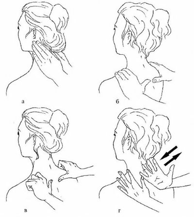 Instrucciones paso a paso sobre cómo masajear correctamente la espalda y el cuello.
