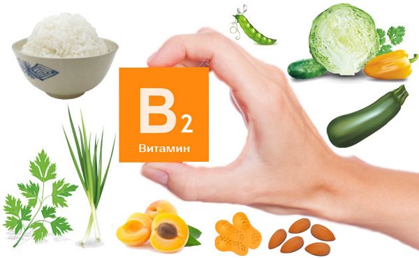 B2-vitamiini