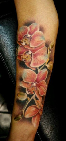 Tatuering på armen för tjejer. Foton, skisser, teckningar av armtatueringar