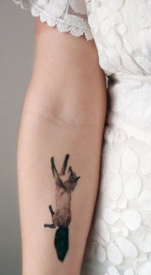 Tatouage de renard - signification pour les femmes, en fonction de la zone du corps et de la manière de l'image
