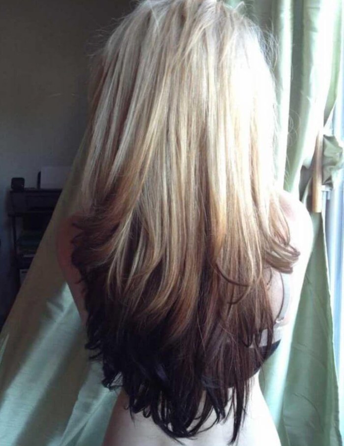 Balayazh - technika farbowania włosów. Zdjęcie na ciemnych, jasnobrązowych, krótkich, długich, średnich lokach