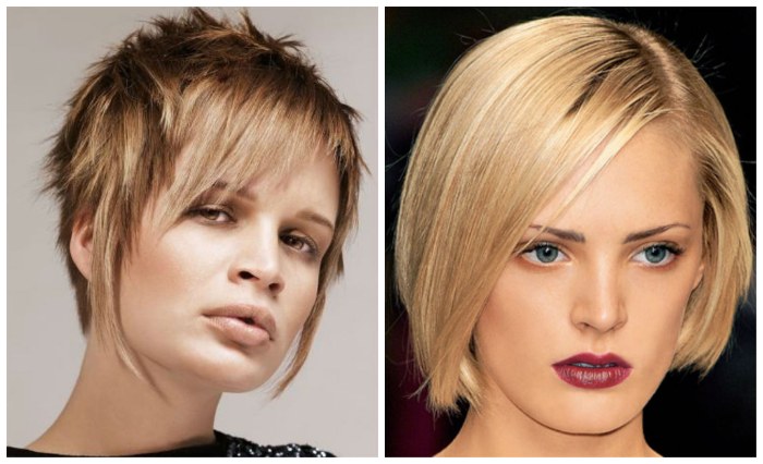 Kurze Haarschnitte für Frauen für dünnes Haar. Fotos, Titel, nach 30, 40, 50 Jahren