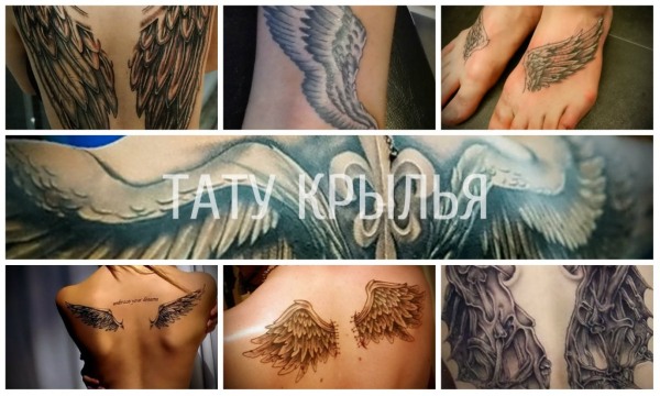 Tattoo Wings (siipi) takana - merkitys tytöille ja miehille. Valokuva