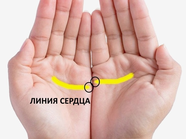El significat de les línies al palmell de la mà dreta i esquerra per a dones i homes. Quiromàntica en imatges en un idioma accessible amb una foto