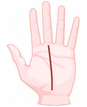 El significat de les línies al palmell de la mà dreta i esquerra per a dones i homes. Quiromàntica en imatges en un idioma accessible amb una foto