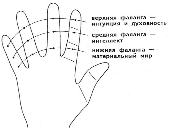 Semnificația liniilor de pe palma mâinii drepte și stângi pentru femei și bărbați. Chiromatică în imagini într-un limbaj accesibil cu o fotografie