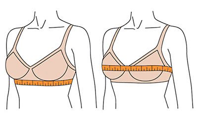 Kuinka valita oikea rintaliivit kooltaan ja muodoltaan. Pöytä, valokuva