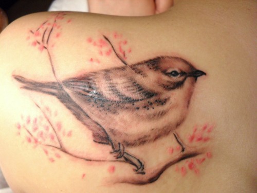Fågeltatuering - betyder för tjejer tatueringar av en örn, falk, duva, svälja, uggla, fågelflock. Bilder och skisser