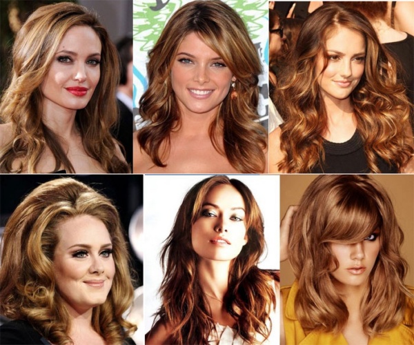 Cat warna rambut coklat muda Garnier, Estelle, Loreal, Kapus, Palet, Igor. Palet, gambar pada rambut