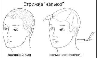 Módní pánské účesy pro krátké vlasy. Tituly, fotografie, lekce video účesů pro kadeřníky pro začátečníky