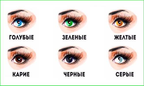 Formes d'ulls. Com identificar, foto i descripció, triar fletxes, maquillar-se perfectament