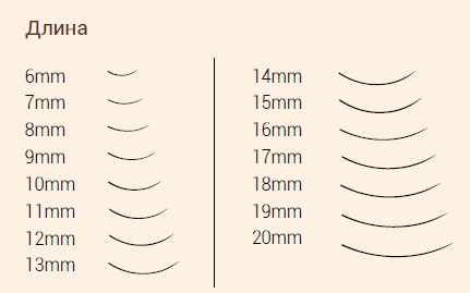 Rizos de pestañas para extensión: l, m, s, l, d, ss, b, j, 3D. Foto, dimensiones, grosor y largo