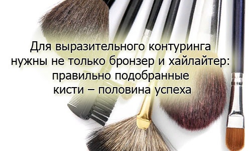 Pinceles de maquillaje: para qué, kits profesionales, revisión de las mejores marcas: Zoeva, Feberlik, Mac, Rive Gauche