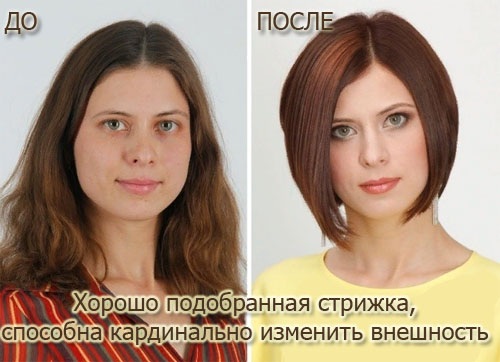 Fashionabla korta frisyrer för kvinnor 2020. Foto, nya föremål med lugg, ungdom, för ett runt ansikte, för tunt hår