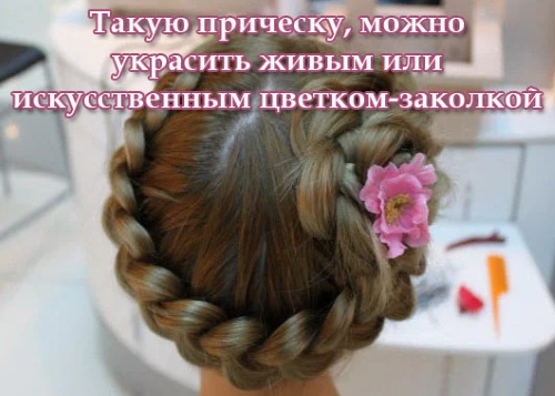 Tự tay đan bím tóc cho bé gái cho người mới bắt đầu. Hướng dẫn cho tóc ngắn, trung bình, dài. Ảnh, video hướng dẫn