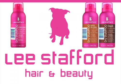 Šampony pro suché vlasy: Batiste, Faberlik, Syoss, Davvalori, Schwarzkopf, Vitex, Cloran, Kensuko. Je to škodlivé, jak se používá