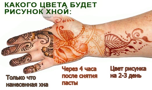 Henna-Zeichnungen für Anfänger an Bein, Arm, Handgelenk. Einfache Skizzen, Schablonen. Anleitung Schritt für Schritt mit einem Foto