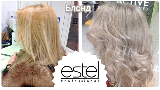 Bảng màu sơn Estel Professional. Danh mục, bố cục, số bóng với tiêu đề. Estelle chuyên nghiệp dành cho tóc bạc, ngăm đen, tóc vàng