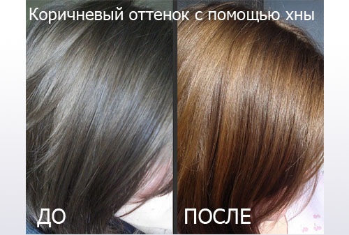 Hodnocení profesionálních barviv na vlasy. Kosmetické značky, paleta barev, ceny