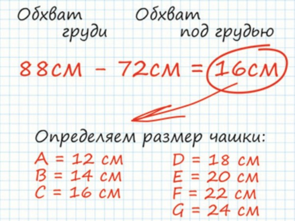 Rozmiary biustonoszy według liter i cyfr. Tabela jak określić rozmiar, objętość biustu, dobrać miseczki na 1, 2, 3, 4, 5 biustu kobiecego