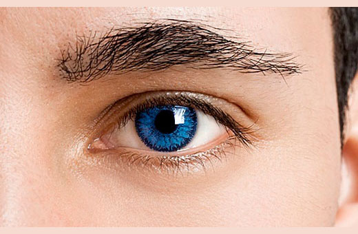 Verres colorés pour les yeux bruns. Lesquelles sont bonnes, comment choisir les meilleures lentilles de contact. Des prix