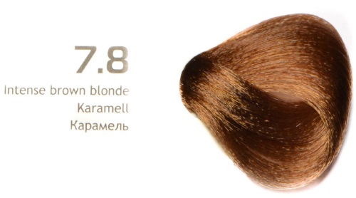 Barva vlasů světlá čokoládová. Fotografie, barevné palety, malířské techniky, zvýraznění