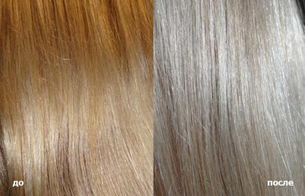 Warna abu pada rambut pendek dan panjang gelap. Foto, teknik memotong rambut