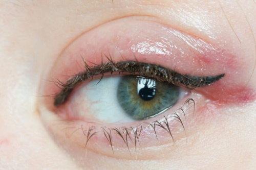 Maquillaje de ojos de párpado inferior con sombreado, interpestaña permanente. Una fotografía