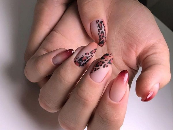 Leopard manikyyri. Valokuva, tulosteet geelilakalla: punainen, vaaleanpunainen, valkoinen, musta, ranska