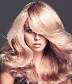 Warme blonde Haarfarbe. Foto mit dunklen Wurzeln, rosa Tönung, Farbe