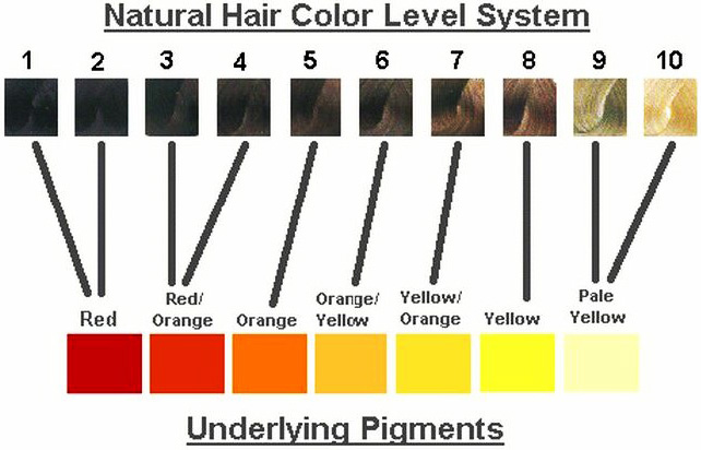 Препигментация на косата преди боядисване. Как да се направи